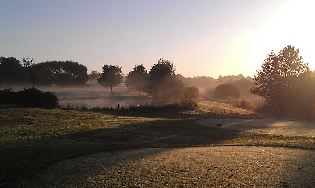 Morning Golf